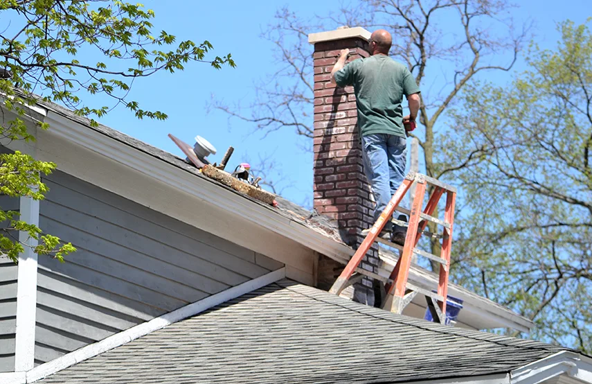 Chimney & Fireplace Inspections Services in Lake in the Hills, IL